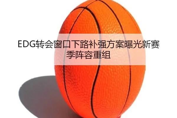 EDG转会窗口下路补强方案曝光新赛季阵容重组